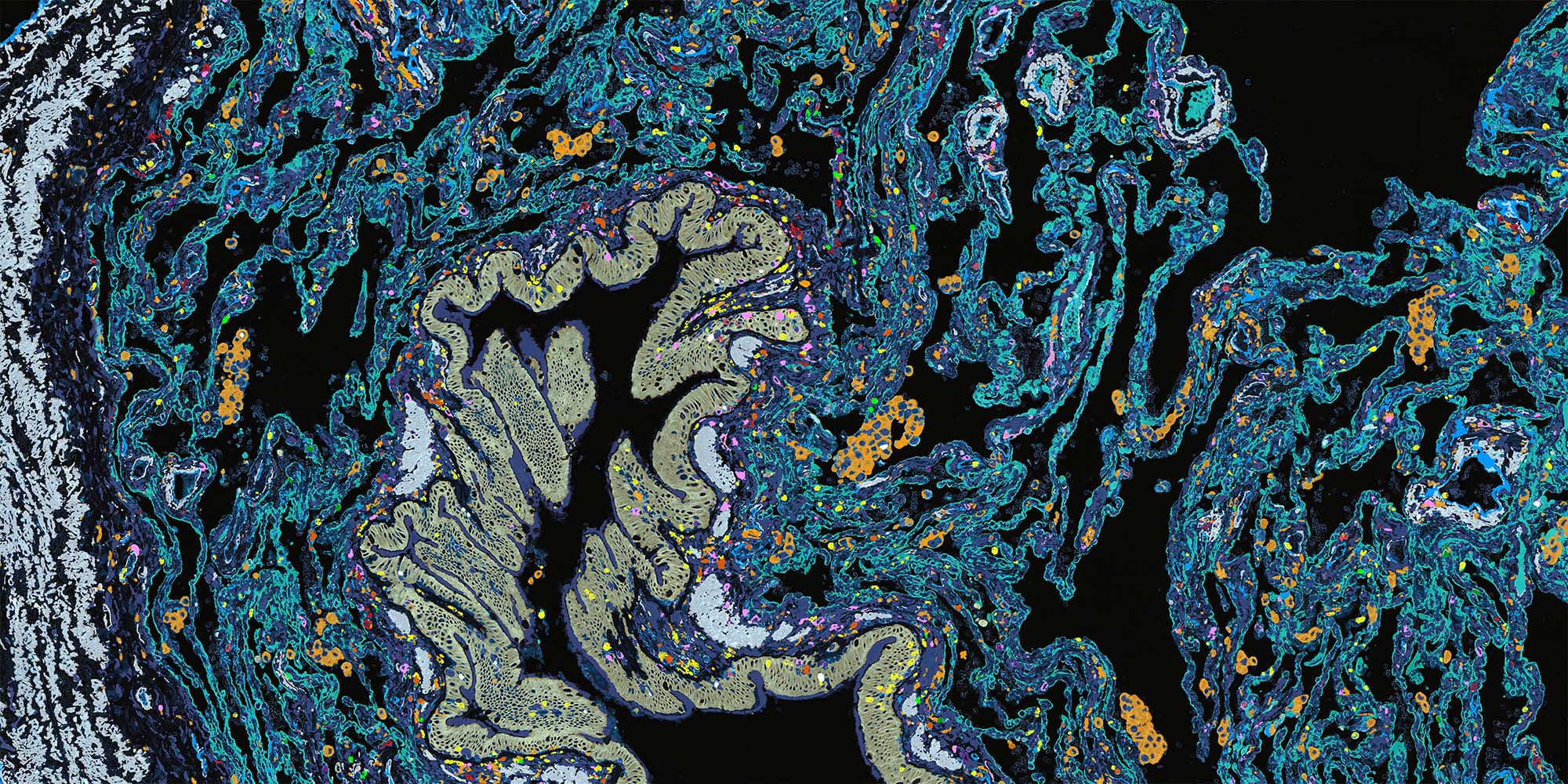 Medetect Cuttingedge competence in immunopathology